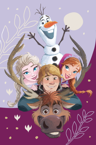 Frozen Disney Decke Eiskönigin Kuscheldecke Kinderdecke Elsa Fleecedecke